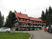 zv�t�it