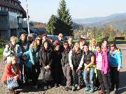 zv�t�it